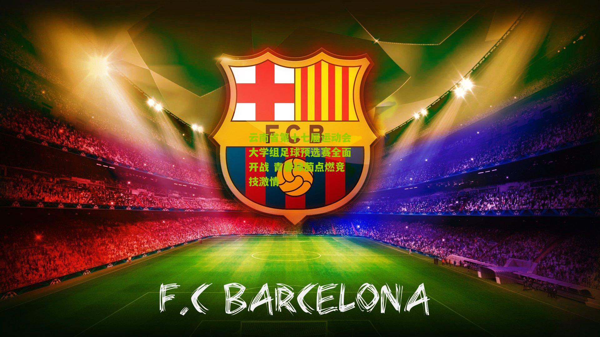 熊猫体育_云南省第十七届运动会大学组足球预选赛全面开战 青春绿茵点燃竞技激情